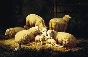 unknow artist Sheep 062 Germany oil painting art